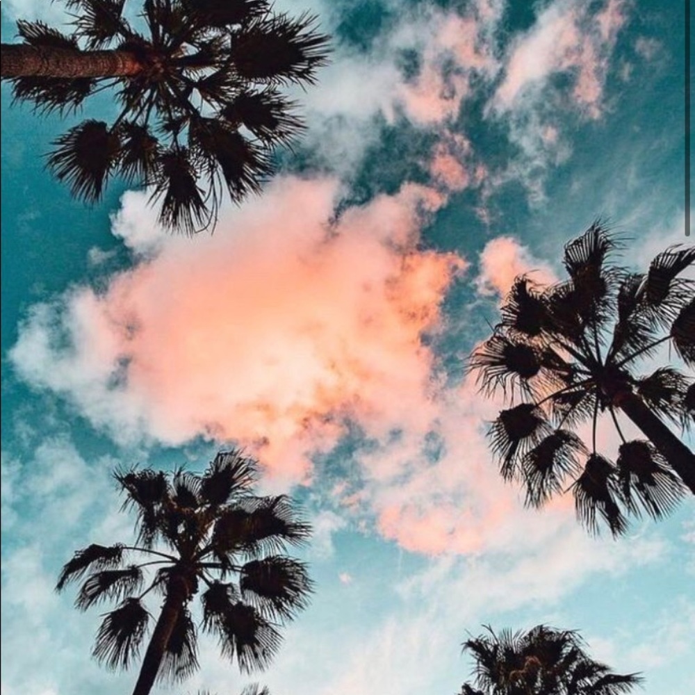 Meet your Posher, Maggie